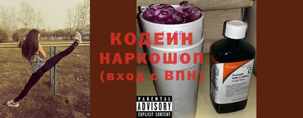 хмурый Богородицк