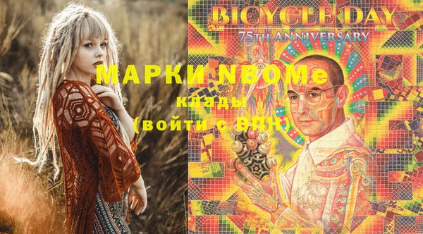 шишки Богородск