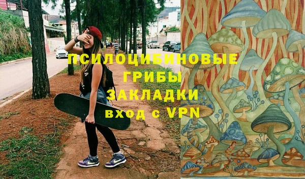шишки Богородск