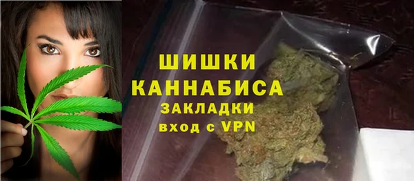 шишки Богородск
