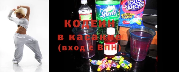 хмурый Богородицк