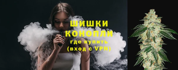 шишки Богородск