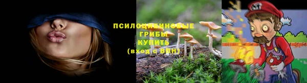хмурый Богородицк