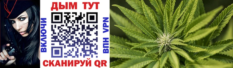 Каннабис SATIVA & INDICA  Видное 